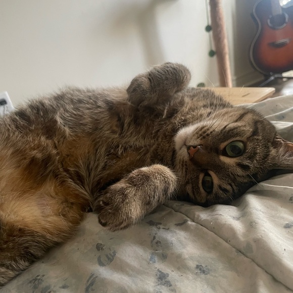 Hello! - Picture 1 of 2